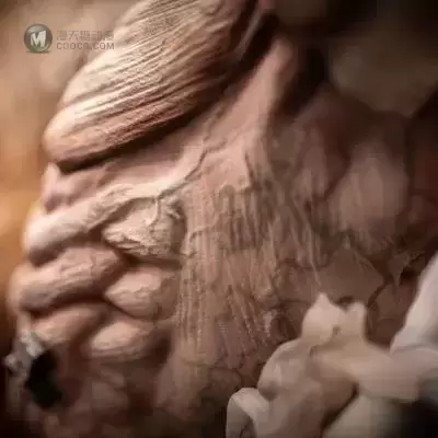 Elite Exclusive Statue 进击的巨人 巨人&三笠·阿克曼&铠之巨人
