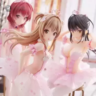 火烈鸟芭蕾舞团 马尾辫女孩