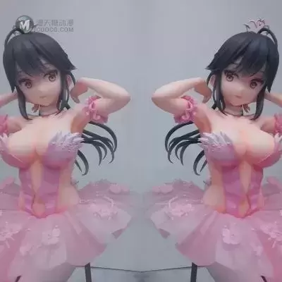 火烈鸟芭蕾舞团 马尾辫女孩