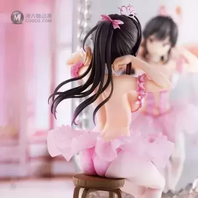 火烈鸟芭蕾舞团 马尾辫女孩