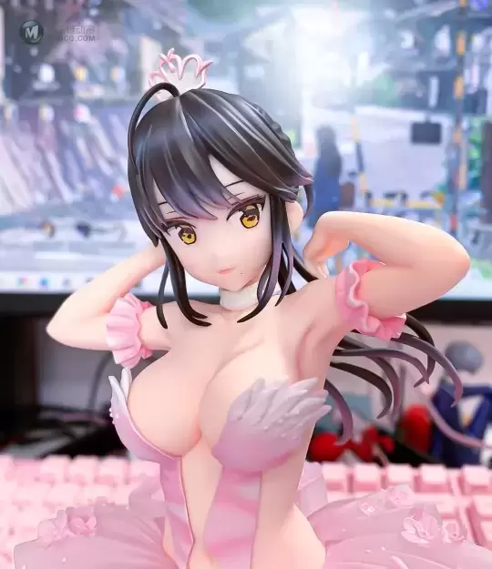 火烈鸟芭蕾舞团 马尾辫女孩