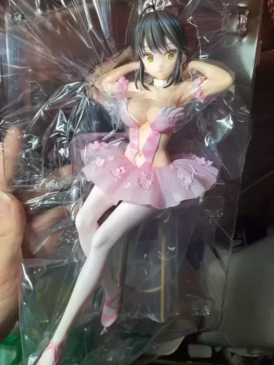 火烈鸟芭蕾舞团 马尾辫女孩