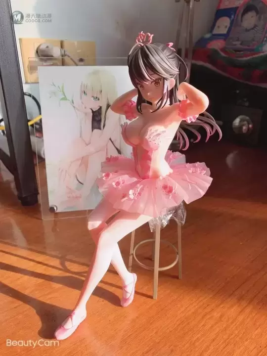 火烈鸟芭蕾舞团 马尾辫女孩