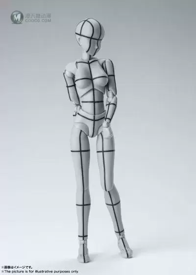S.H.Figuarts 女性素体 -辅助线- (灰色)