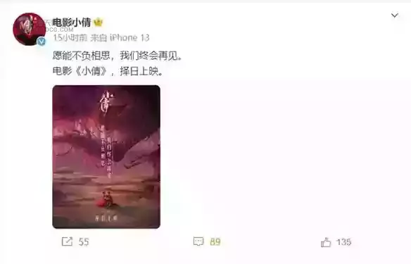《小倩》撤档，不能怪五一档的其他选手