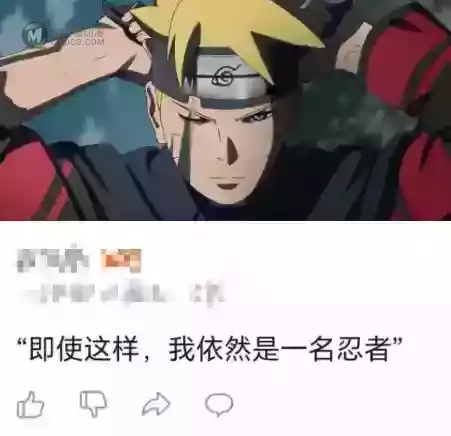 一觉醒来，火影粉丝和博人传世纪大和解了