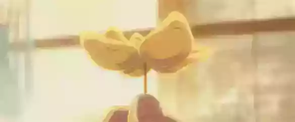 还想靠美术硬控观众，《伞少女》为什么不长心？