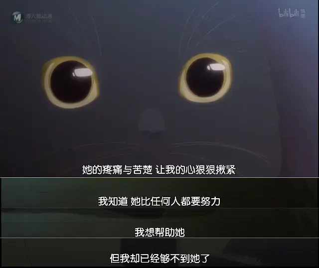 我才意识到我远比我想的还要爱它！——《她和她的猫》