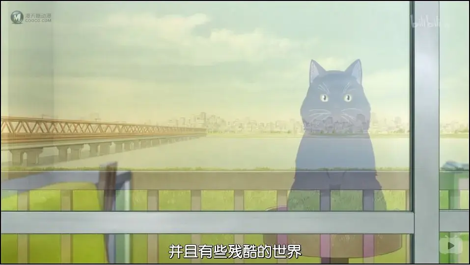 我才意识到我远比我想的还要爱它！——《她和她的猫》