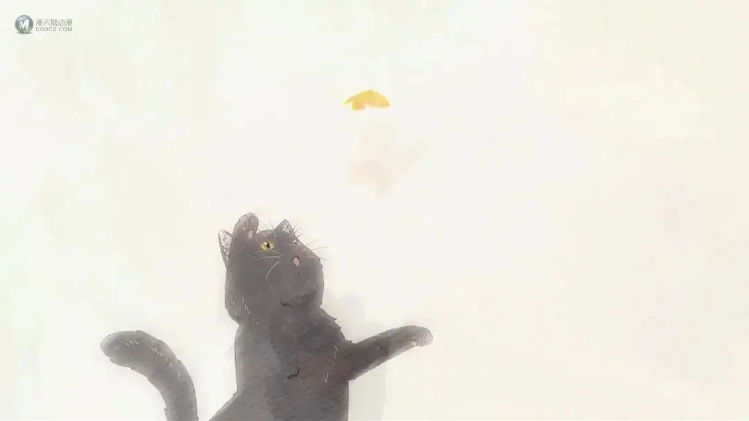 我才意识到我远比我想的还要爱它！——《她和她的猫》